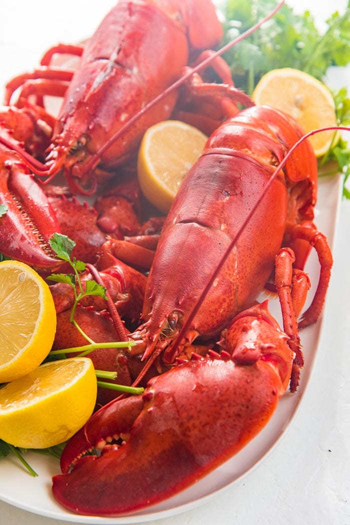 Two cooked lobsters placed on a white platter, with sliced lemon halves and herbs.